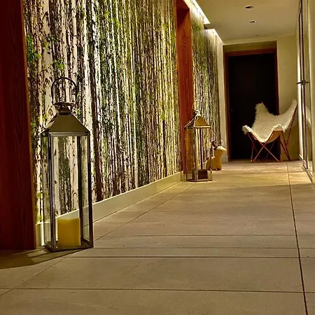 Pleine Vue&spa * Chamonix