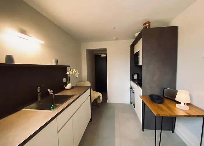 Pleine Vue & * シャモニー