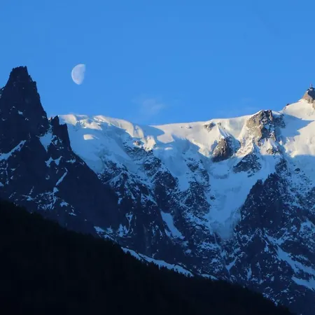 Pleine Vue & Апартаменты Шамони